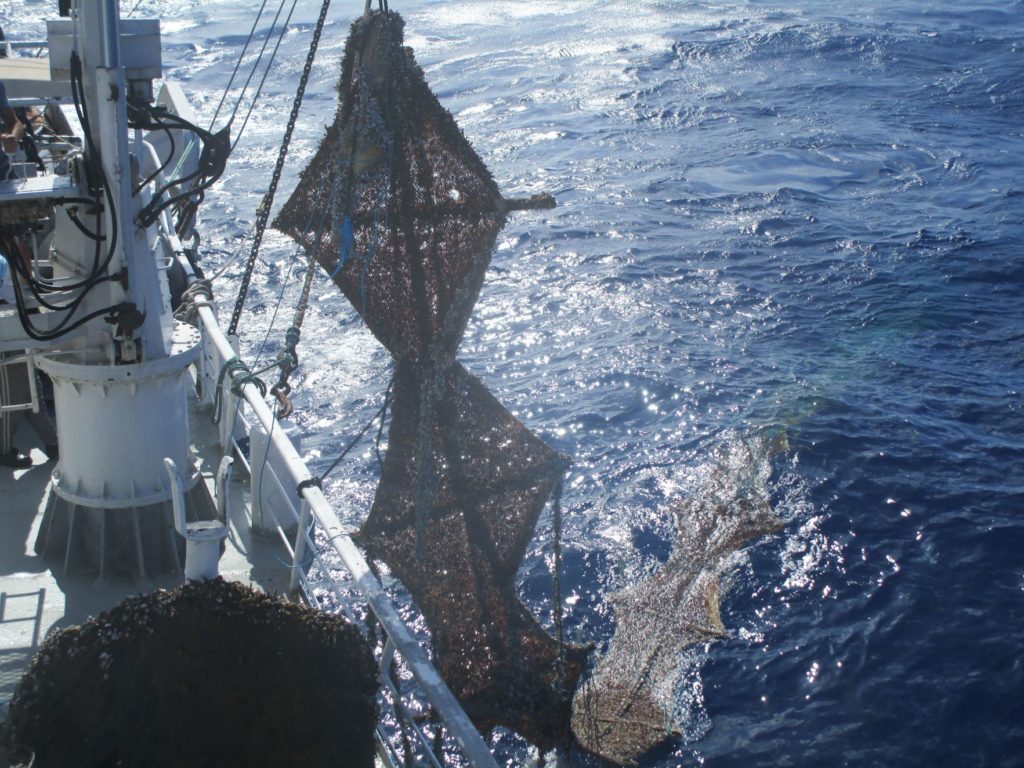 AENOR APR Atún de Pesca Responsable